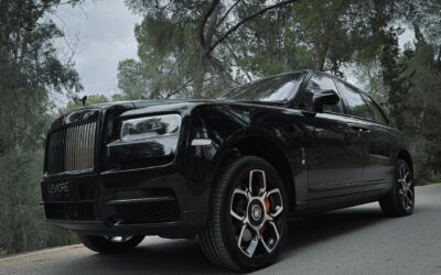 Chauffeur Cars: Five Models Focused on the Passenger 
